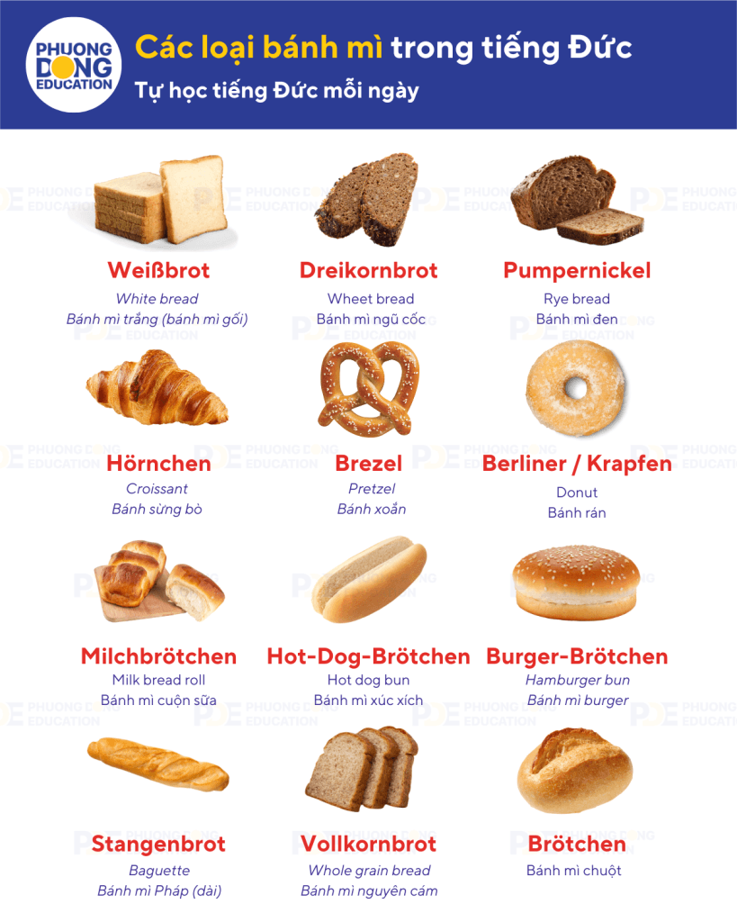 SERIES Từ vựng tiếng Đức chuyên ngành #11 - Chủ đề: Làm bánh 3 12 từ vựng tiếng Đức chuyên ngành cho thợ làm bánh